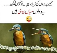 Mia biwi parindo ki pehchan